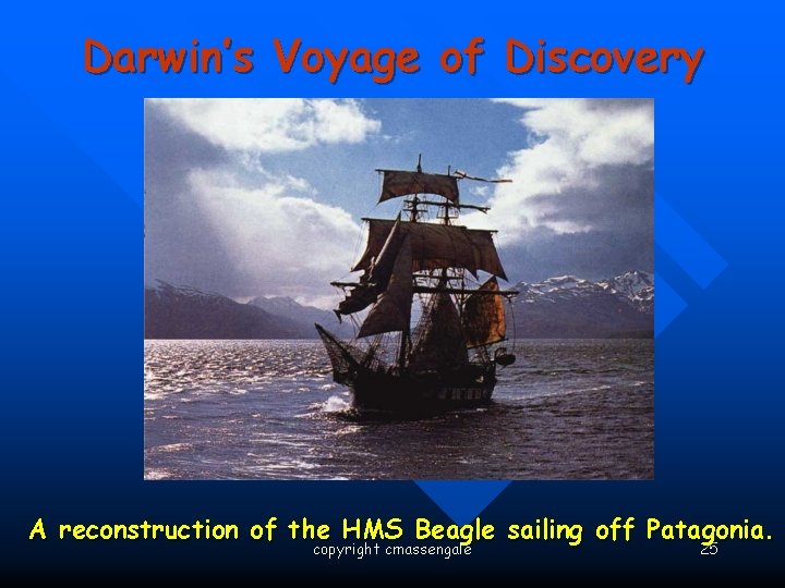 Darwin’s Voyage of Discovery A reconstruction of the HMS Beagle sailing off Patagonia. copyright