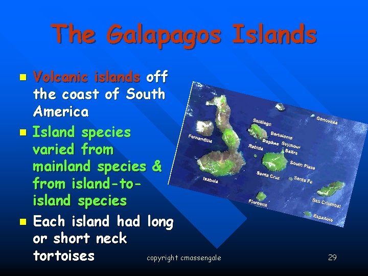 The Galapagos Islands n n n Volcanic islands off the coast of South America