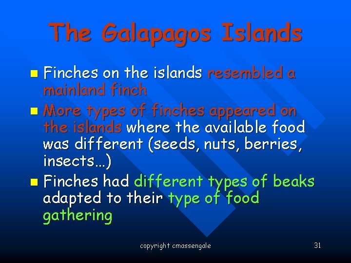 The Galapagos Islands Finches on the islands resembled a mainland finch n More types