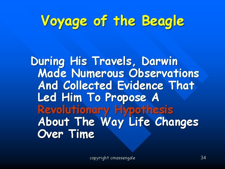 Voyage of the Beagle During His Travels, Darwin Made Numerous Observations And Collected Evidence