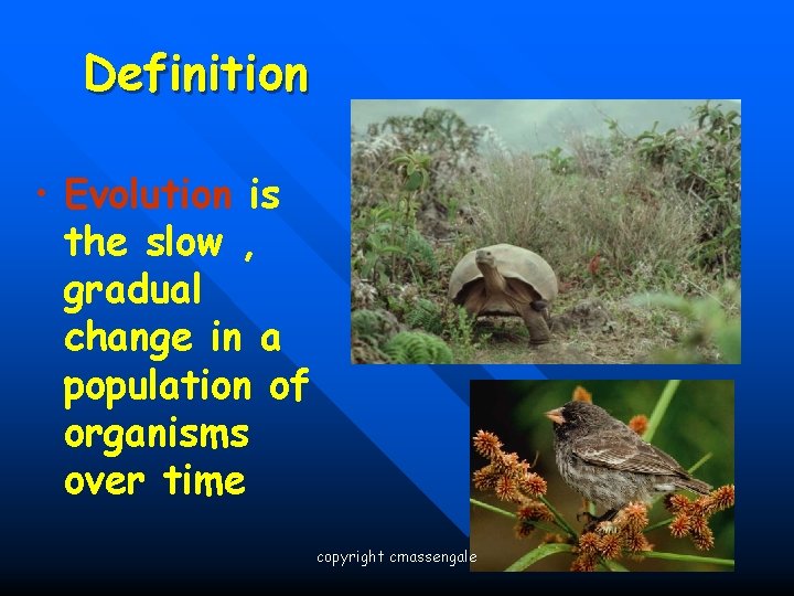 Definition • Evolution is the slow , gradual change in a population of organisms