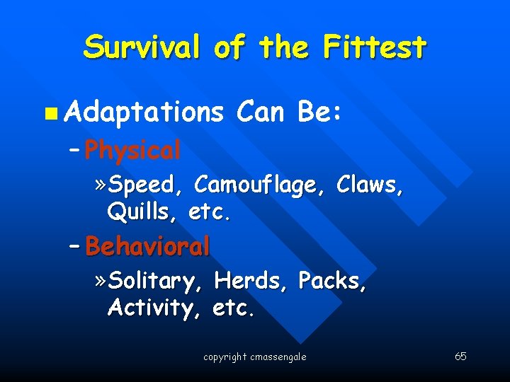 Survival of the Fittest n Adaptations Can Be: – Physical » Speed, Camouflage, Claws,