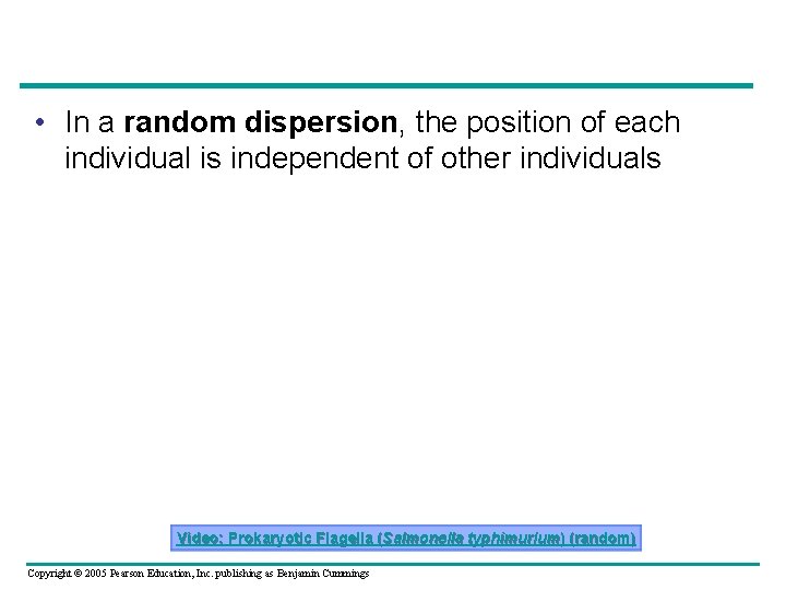  • In a random dispersion, the position of each individual is independent of