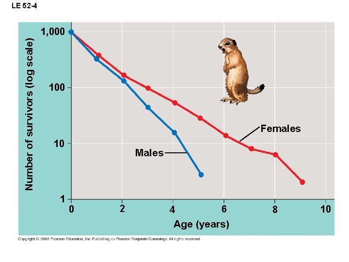 LE 52 -4 Number of survivors (log scale) 1, 000 100 Females 10 1