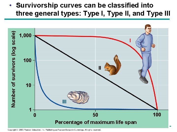 Number of survivors (log scale) • Survivorship curves can be classified into three general