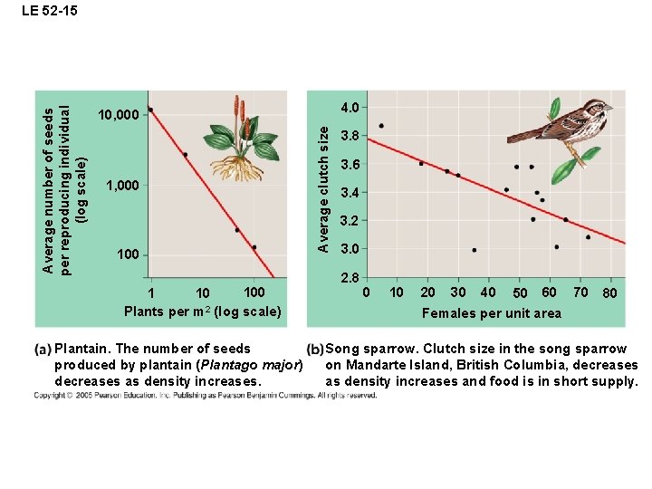 4. 0 10, 000 100 Average clutch size Average number of seeds per reproducing