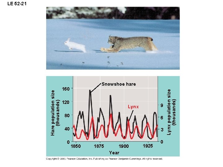 Hare population size (thousands) 160 120 0 Lynx 1850 1875 1900 Year 9 80