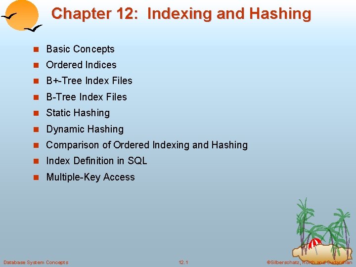 Chapter 12: Indexing and Hashing n Basic Concepts n Ordered Indices n B+-Tree Index