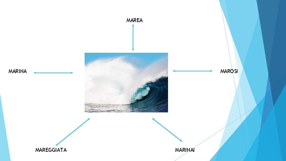 MAREA MARINA MAROSI MAREGGIATA MARINAI 