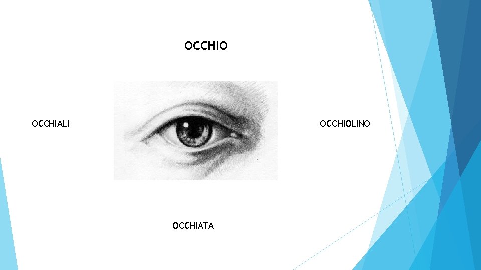 OCCHIO OCCHIALI OCCHIOLINO OCCHIATA 