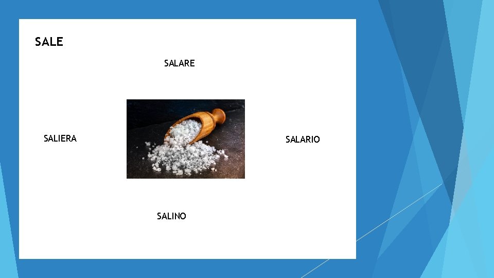 SALE SALARE SALIERA SALARIO SALINO 