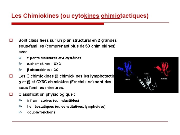 Les Chimiokines (ou cytokines chimiotactiques) o Sont classifiées sur un plan structural en 2 Les Chimiokines (ou cytokines chimiotactiques) o Sont classifiées sur un plan structural en 2