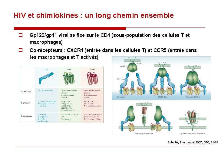 HIV et chimiokines : un long chemin ensemble o Gp 120/gp 41 viral se HIV et chimiokines : un long chemin ensemble o Gp 120/gp 41 viral se