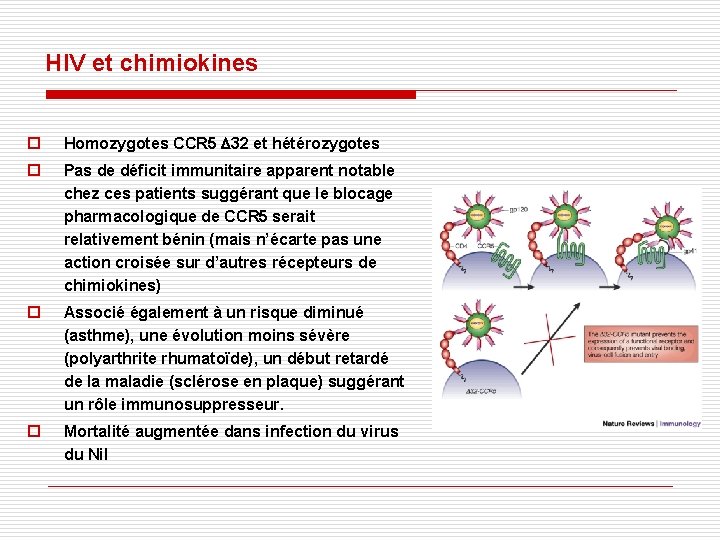 HIV et chimiokines ¨ Homozygotes CCR 5 D 32 et hétérozygotes ¨ Pas de HIV et chimiokines ¨ Homozygotes CCR 5 D 32 et hétérozygotes ¨ Pas de