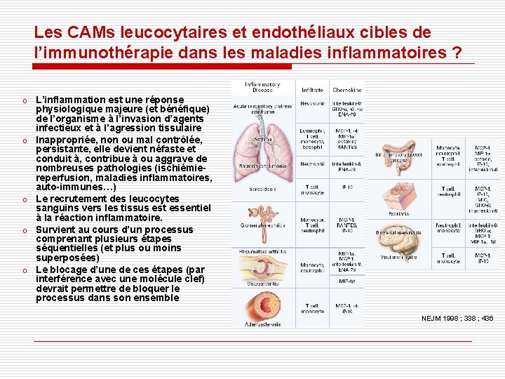 Les CAMs leucocytaires et endothéliaux cibles de l’immunothérapie dans les maladies inflammatoires ? o Les CAMs leucocytaires et endothéliaux cibles de l’immunothérapie dans les maladies inflammatoires ? o
