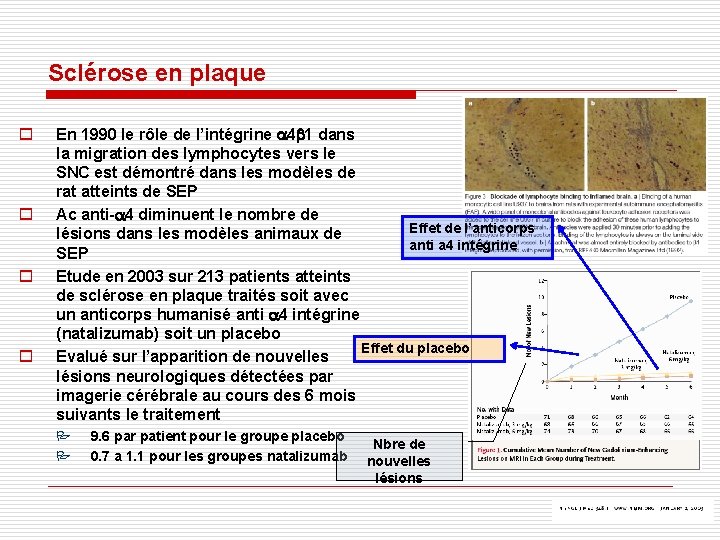 Sclérose en plaque o o En 1990 le rôle de l’intégrine a 4 b Sclérose en plaque o o En 1990 le rôle de l’intégrine a 4 b