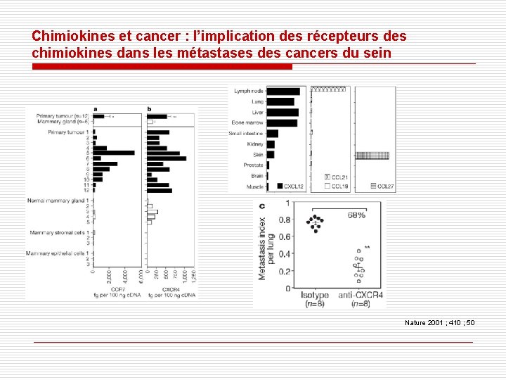 Chimiokines et cancer : l’implication des récepteurs des chimiokines dans les métastases des cancers Chimiokines et cancer : l’implication des récepteurs des chimiokines dans les métastases des cancers