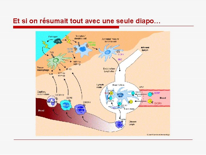 Et si on résumait tout avec une seule diapo… Et si on résumait tout avec une seule diapo…