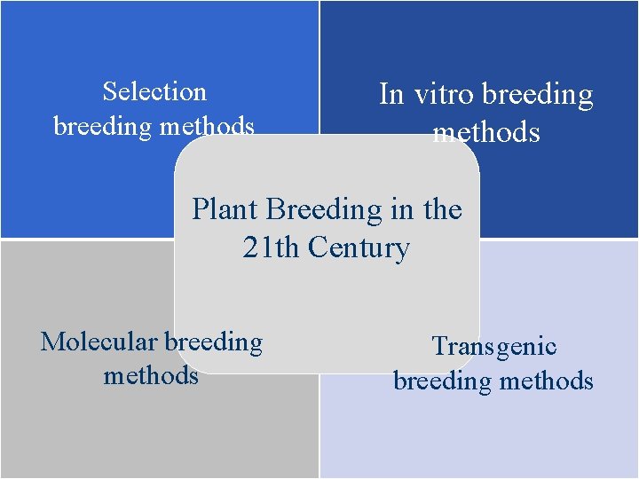 Selection breeding methods In vitro breeding methods Plant Breeding in the 21 th Century