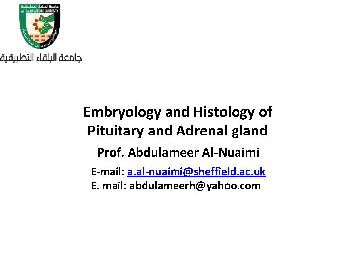 Embryology and Histology of Pituitary and Adrenal gland Prof. Abdulameer Al-Nuaimi E-mail: a. al-nuaimi@sheffield.