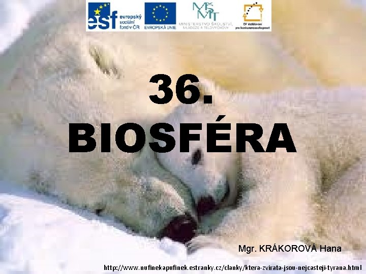 36. BIOSFÉRA Mgr. KRÁKOROVÁ Hana http: //www. nufinekapufinek. estranky. cz/clanky/ktera-zvirata-jsou-nejcasteji-tyrana. html 