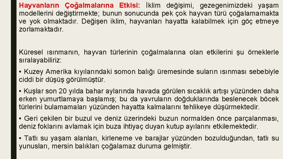 Hayvanların Çoğalmalarına Etkisi: İklim değişimi, gezegenimizdeki yaşam modellerini değiştirmekte; bunun sonucunda pek çok hayvan