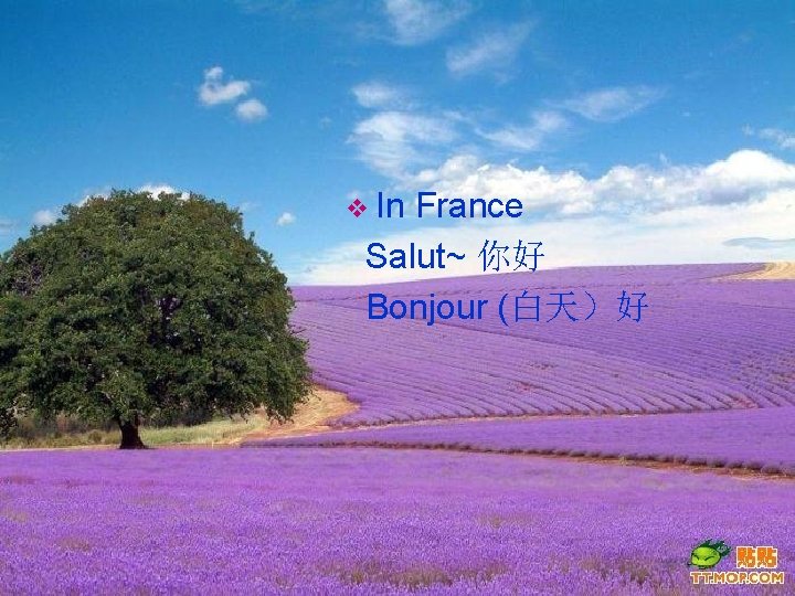 v In France Salut~ 你好 Bonjour (白天）好 