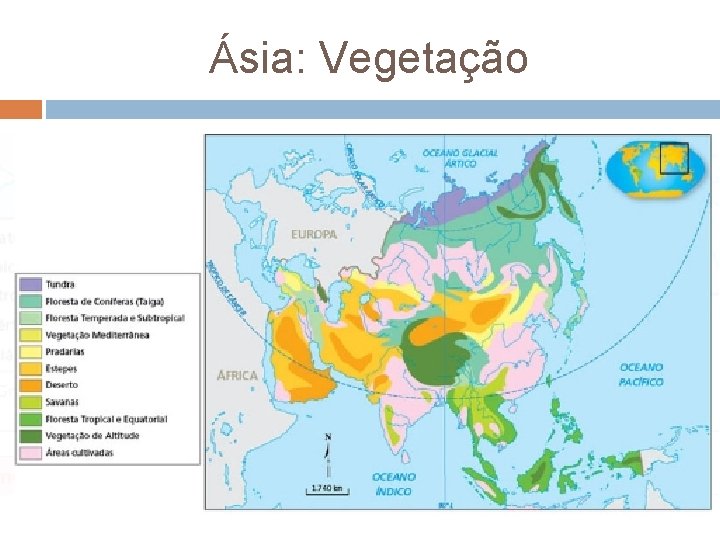 Ásia: Vegetação 