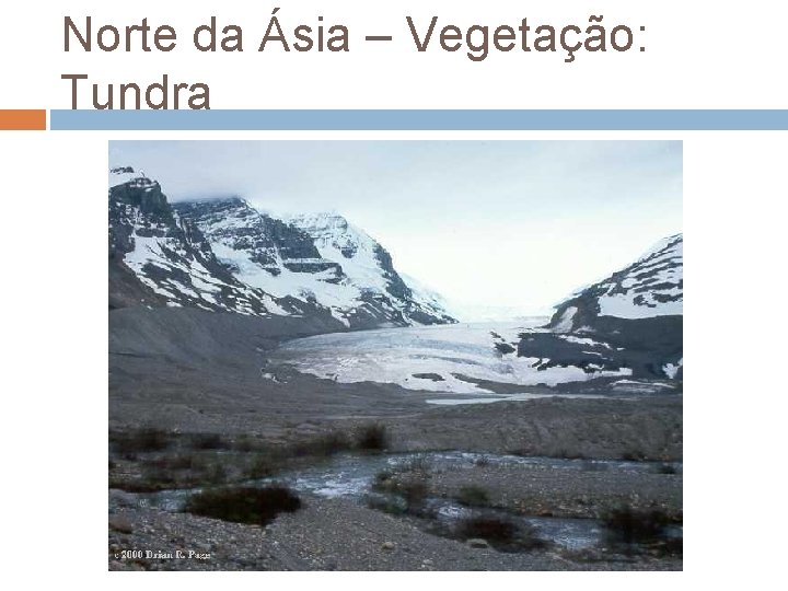 Norte da Ásia – Vegetação: Tundra 