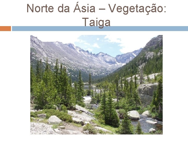 Norte da Ásia – Vegetação: Taiga 