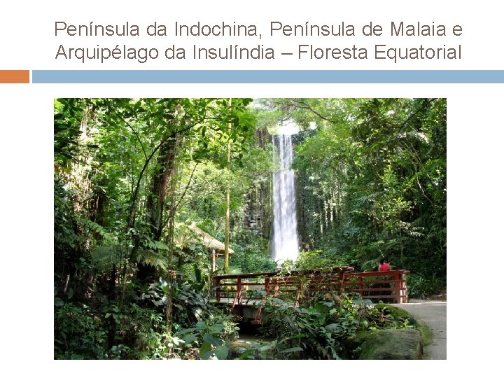 Península da Indochina, Península de Malaia e Arquipélago da Insulíndia – Floresta Equatorial 