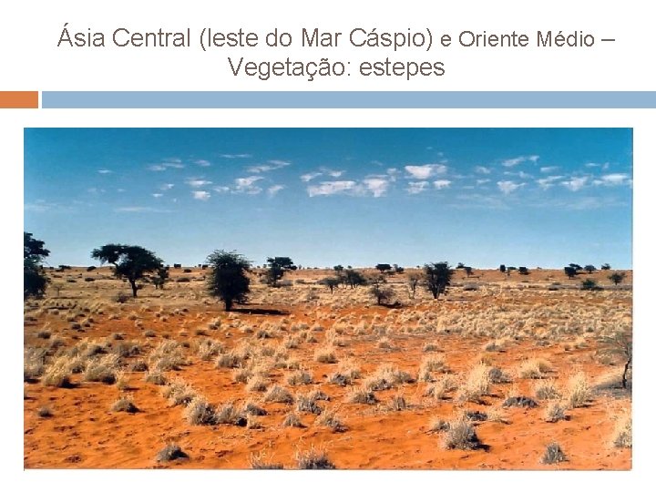 Ásia Central (leste do Mar Cáspio) e Oriente Médio – Vegetação: estepes 