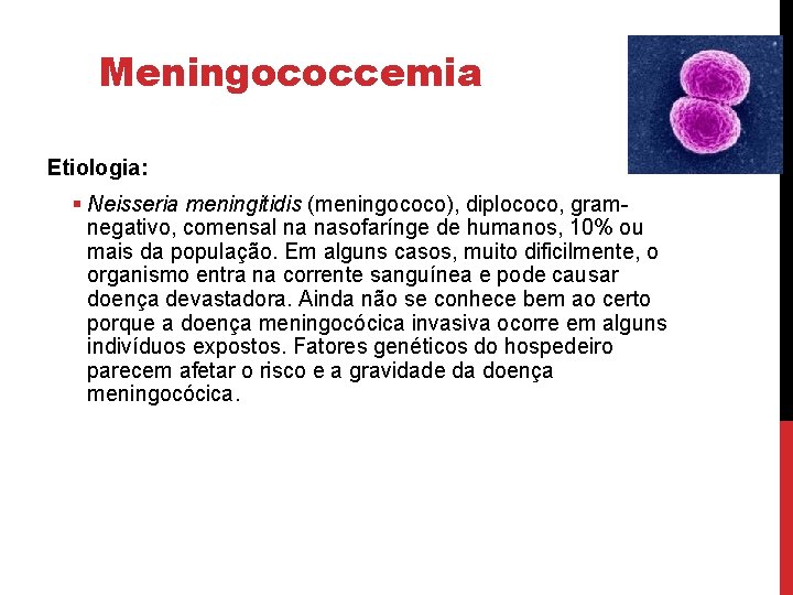 Meningococcemia Etiologia: § Neisseria meningitidis (meningococo), diplococo, gramnegativo, comensal na nasofarínge de humanos, 10%
