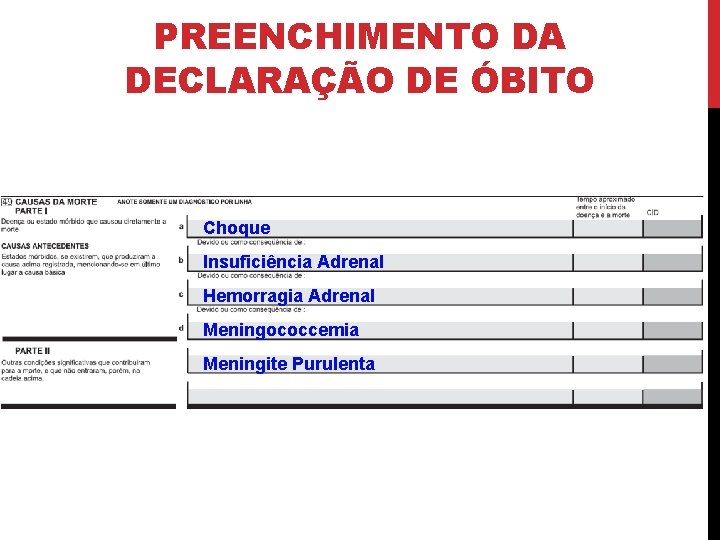 PREENCHIMENTO DA DECLARAÇÃO DE ÓBITO Choque Insuficiência Adrenal Hemorragia Adrenal Meningococcemia Meningite Purulenta 