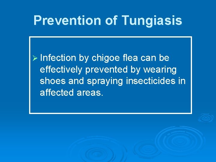 Prevention of Tungiasis Ø Infection by chigoe flea can be effectively prevented by wearing