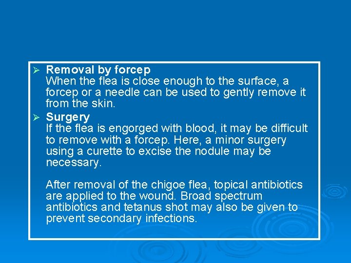Removal by forcep When the flea is close enough to the surface, a forcep
