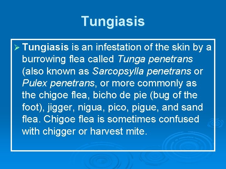 Tungiasis Ø Tungiasis is an infestation of the skin by a burrowing flea called