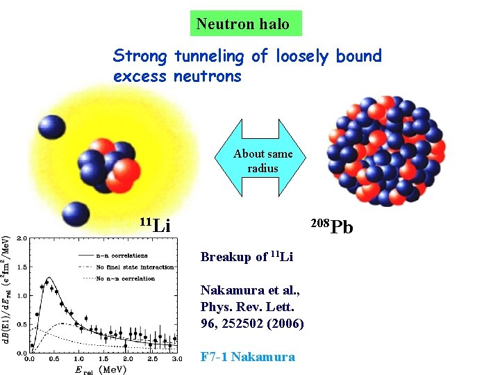 Neutron halo Strong tunneling of loosely bound excess neutrons About same radius 11 Li