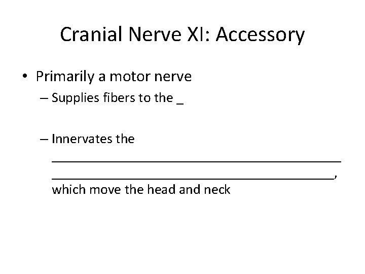 Cranial Nerve XI: Accessory • Primarily a motor nerve – Supplies fibers to the