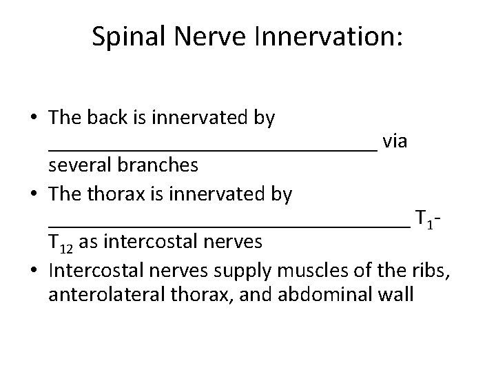 Spinal Nerve Innervation: • The back is innervated by _______________ via several branches •