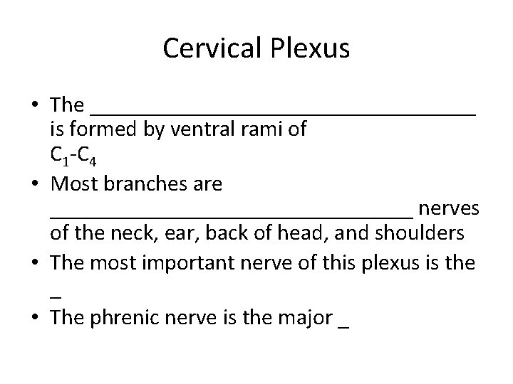 Cervical Plexus • The _________________ is formed by ventral rami of C 1 -C