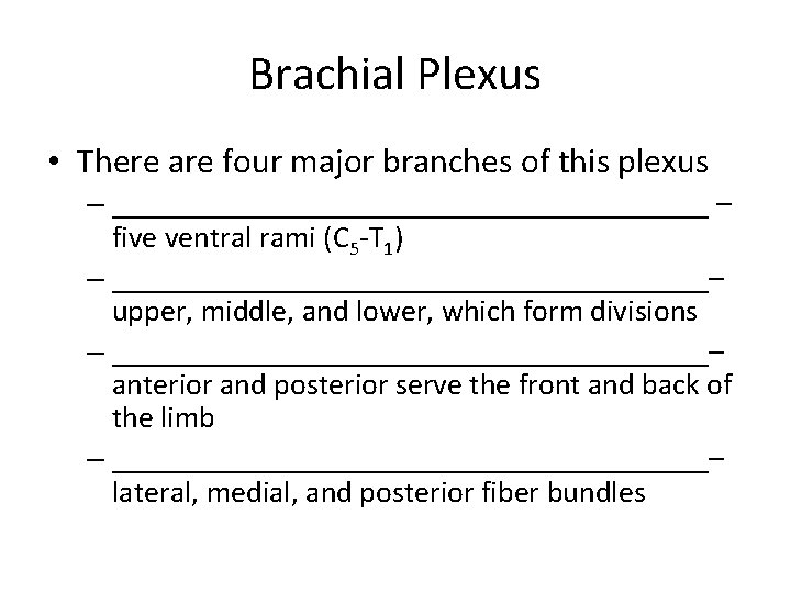 Brachial Plexus • There are four major branches of this plexus – ____________________ –