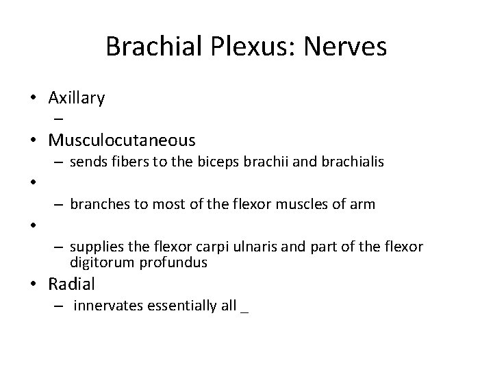 Brachial Plexus: Nerves • Axillary – • Musculocutaneous – sends fibers to the biceps