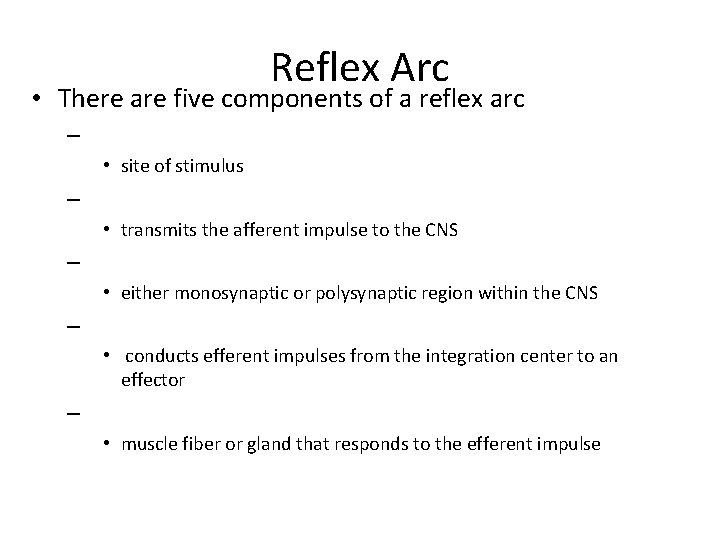 Reflex Arc • There are five components of a reflex arc – • site