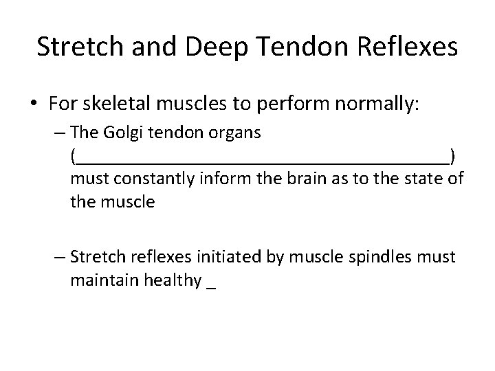 Stretch and Deep Tendon Reflexes • For skeletal muscles to perform normally: – The