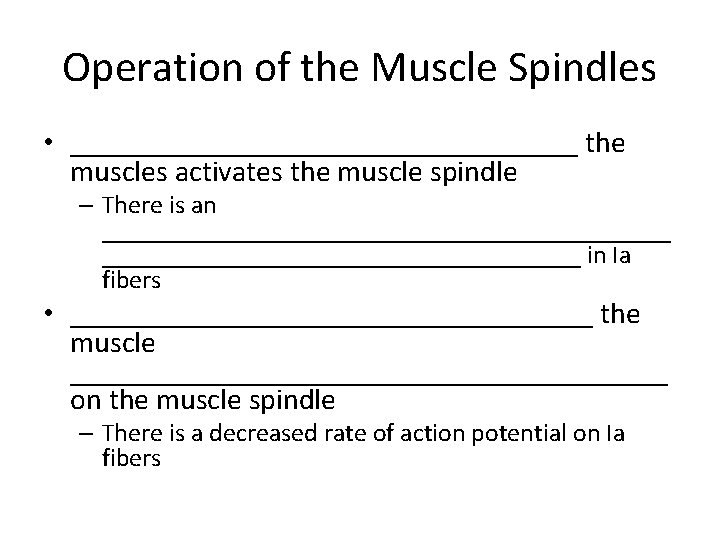 Operation of the Muscle Spindles • _________________ the muscles activates the muscle spindle –