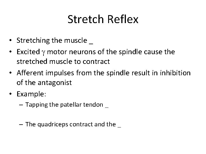 Stretch Reflex • Stretching the muscle _ • Excited motor neurons of the spindle