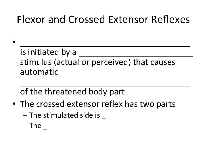 Flexor and Crossed Extensor Reflexes • ___________________ is initiated by a _____________ stimulus (actual