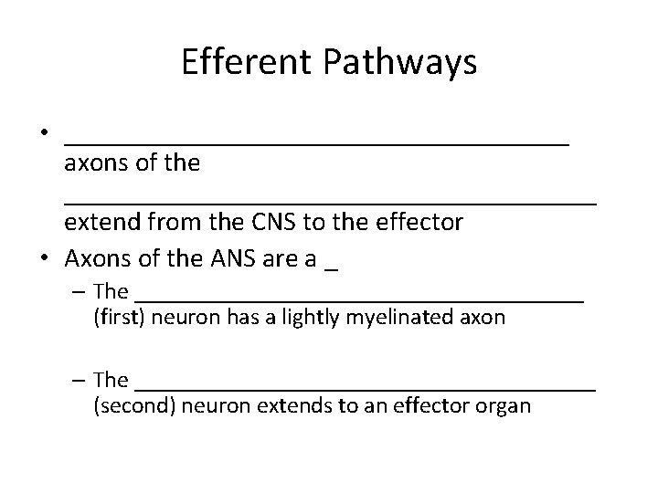 Efferent Pathways • ___________________ axons of the ____________________ extend from the CNS to the