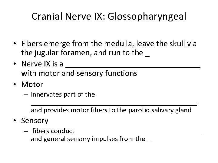 Cranial Nerve IX: Glossopharyngeal • Fibers emerge from the medulla, leave the skull via